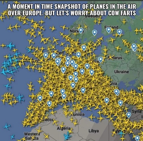 https://www.theautomaticearth.com/wp-content/uploads/2022/08/PlanesCowFarts.jpg